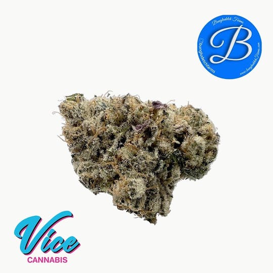 Vice Cannabis - Bungludetch - Tri-Burger: Flower - 1