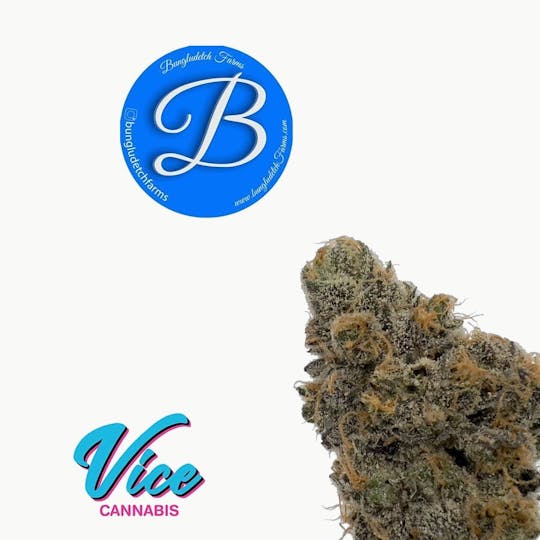 Vice Cannabis - Bungludetch - Melon Pounder: Flower - 1
