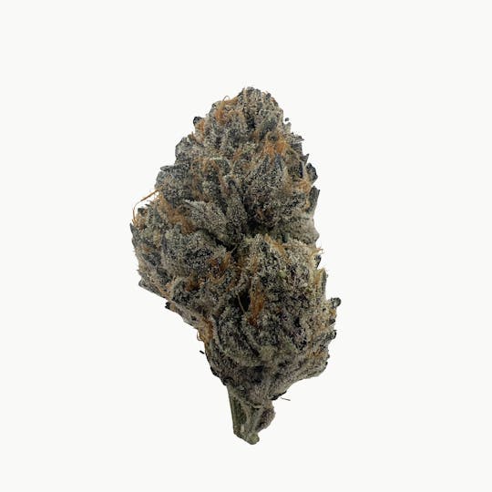 Indico - Frosted Biscotti - $100 oz (Lightly Seeded) - 1