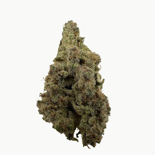 Indico - Big Chillz -$100 oz - 1
