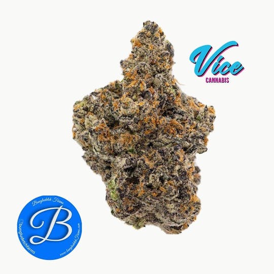 Vice Cannabis - Bungludetch - Sherb N Runtz: Flower - 1