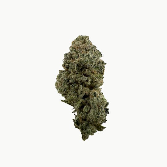 Indico - Panic Alert -$100 oz - 1