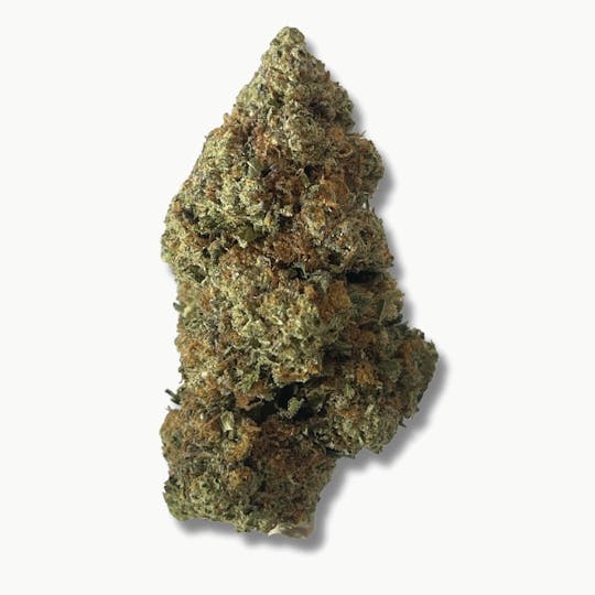 Smoakland - Exotix - White Gushers (H) - 14g - 1