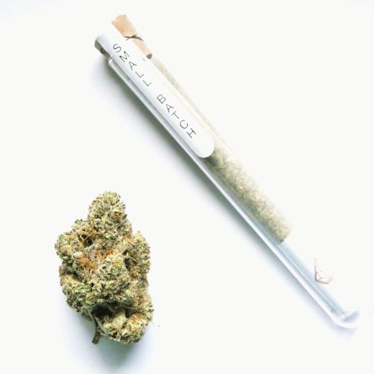 Northern Emeralds - Legendary OMG 1G Pre-Roll - 1