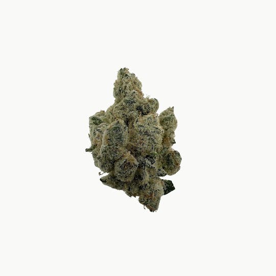 Indico - Triple Burger -$100 oz - 1