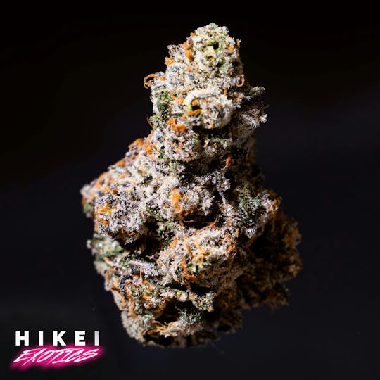 Hikei Exotics - Biscotti BX2 28g Zip - 1