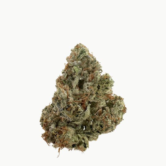 Indico - Pink Lemonade -Skunkfoot Farms - 1