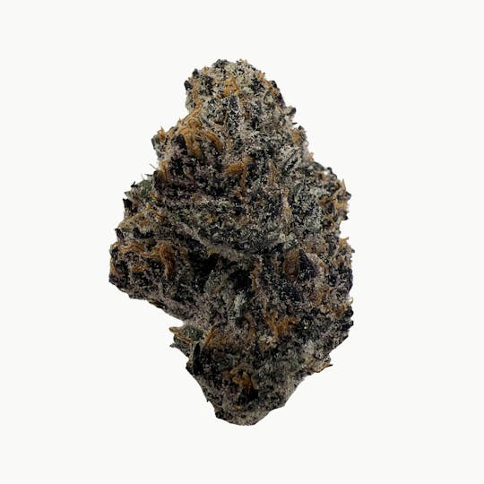 Indico - Forbidden Tea - New Horizons - 1