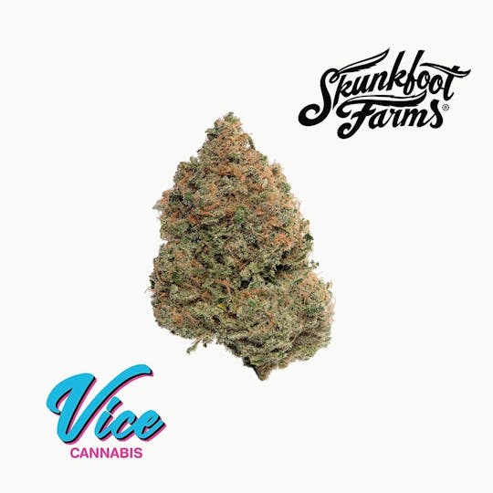 Vice Cannabis - Skunkfoot Farms - Pink Lemonade: Flower - 1