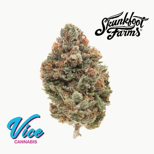 Vice Cannabis - Skunkfoot Farms - Gas Cap 11: Flower - 1