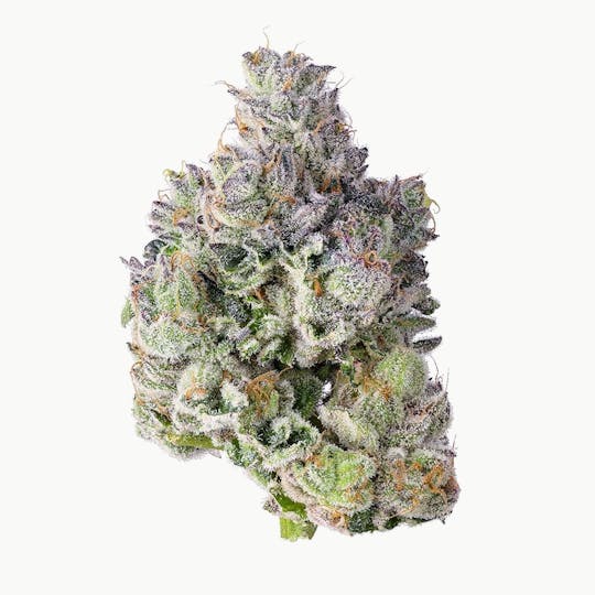 Blue Chip - Georgia Zkittlez - 1