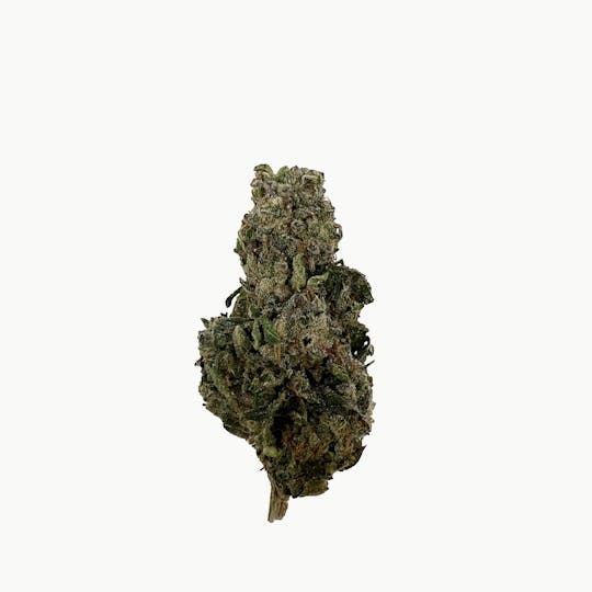 Indico - Trop Applez -$100 oz - 1