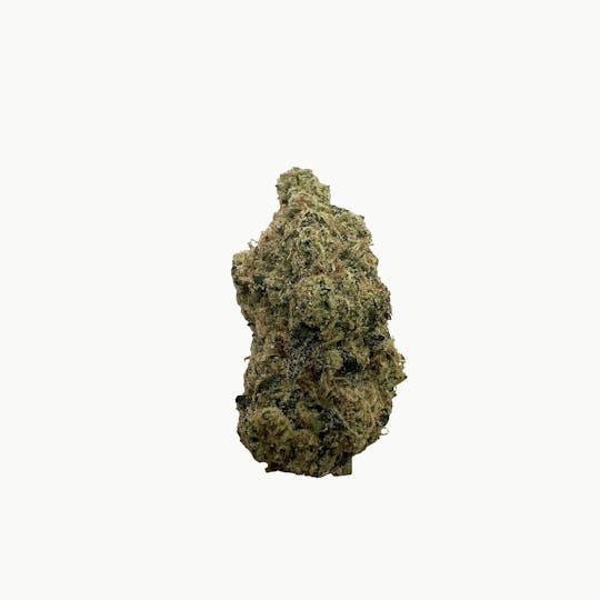 Indico - Assassin OG -Indico - 1