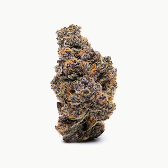 Stilo Supply - Candy Apple - 1