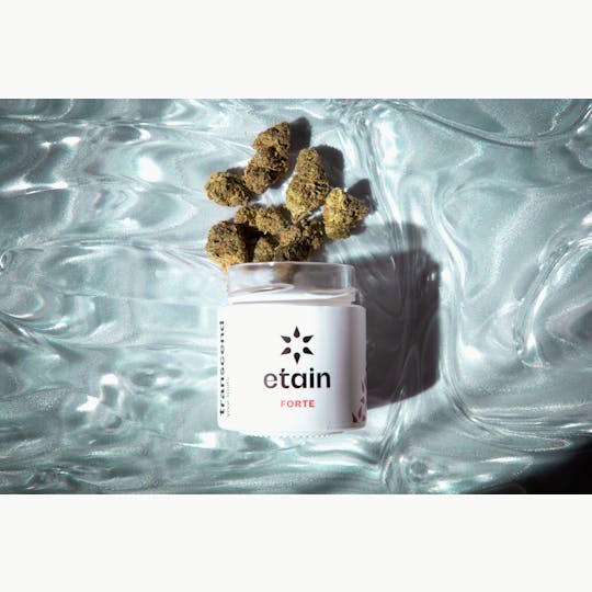 Etain - Forte Whole Flower - GSC - 1