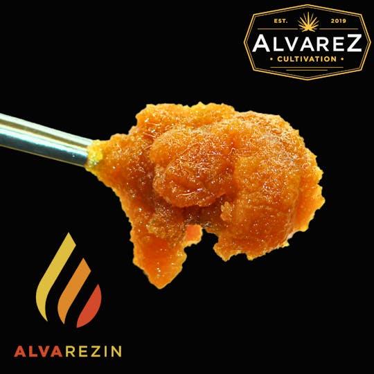 Alvarez Cultivation - Sweet Feet Nug Run Sugar - 1