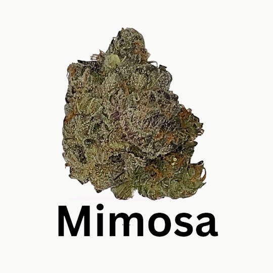 Farmers Reserve - Mimosa flower - 1