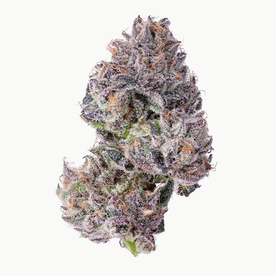 Blue Chip - Bathing Grapez - 1