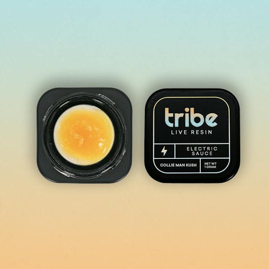 Tribe - All Fruit OG - Live Resin Electric Sauce - 1g - 1