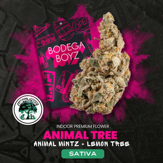 Bodega Boyz - Bodega Boyz Animal Tree #13 | OK - 1