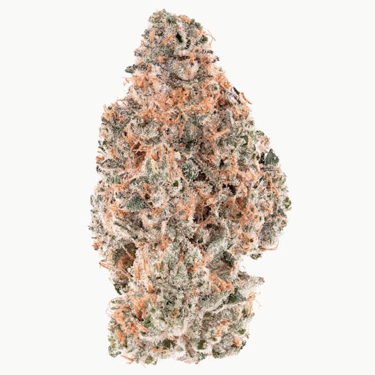 Quality Over Quantity - Melon Crasher - 1