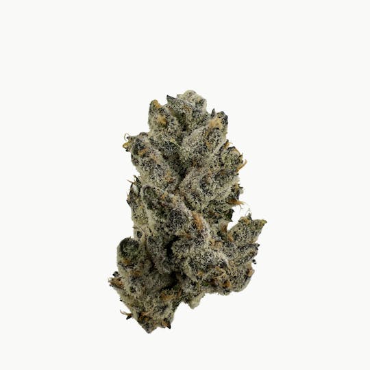 Indico - Funky Charms #2 -Bungludetch Farms - 1