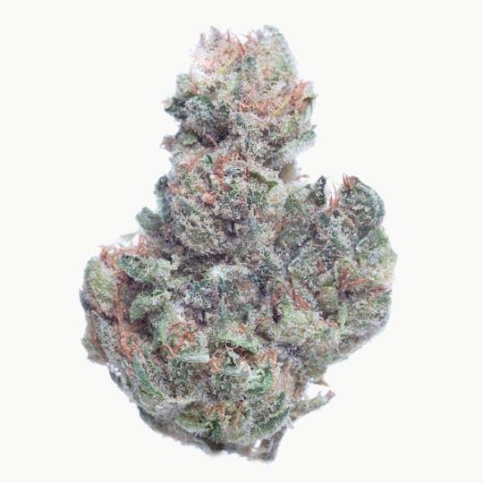 Snowblind Cannabis - Cheetah Piss - 1