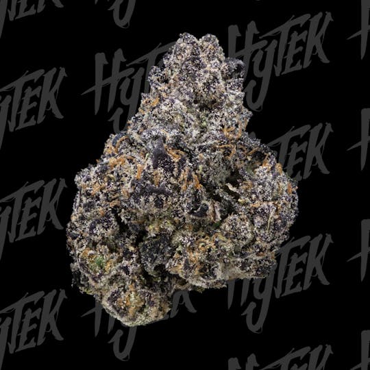 Hytek - HYTEK | SUNSET SHERBERT | BULK DELI FLOWER - 1