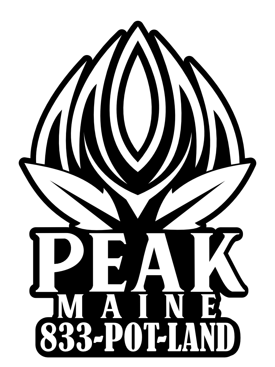 Peak Maine Cannabis - Stankonya #11 - Peak Maine - 1