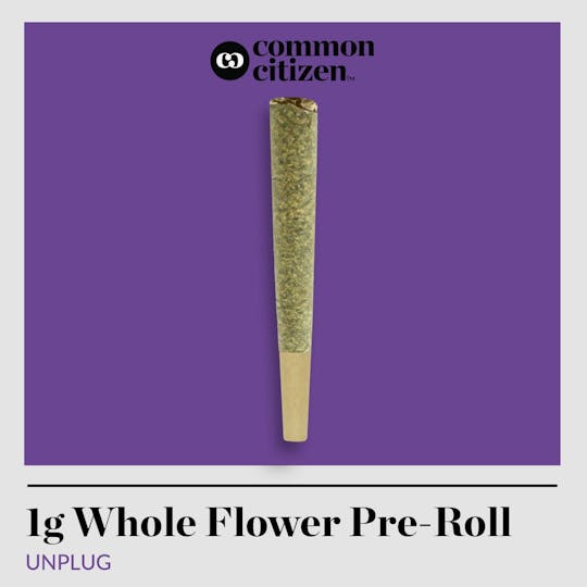 Common Citizen - Common Citizen GMO Jungle Cake Pre Roll 1g - 1