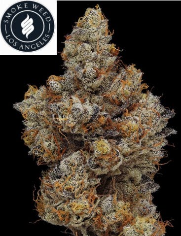 Smoke Weed LA - Smoke Weed LA - Falcon 9 14g - 1