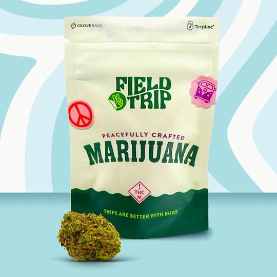 Wondergrove - Field Trip - Ozark Hash - 1