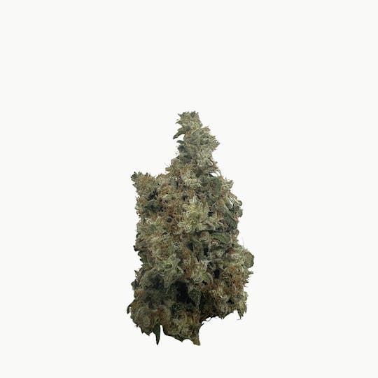 Indico - Sour Lemon - $100 oz - 1