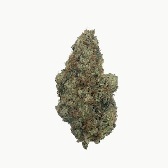 Indico - Amnesia Lemon- $100 oz - 1