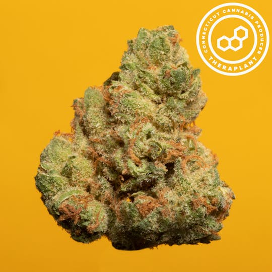 Theraplant - Deeziva T25.9 18295 Flower - 1
