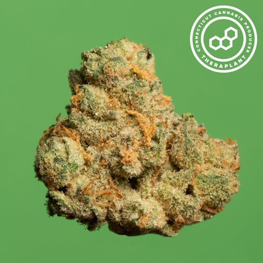 Theraplant - Egbrid T22.8 16539 - 1