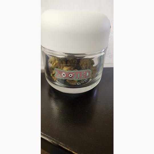 Zooted - Zooted Angel - 1