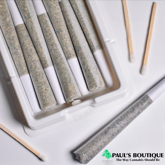 Paul's Boutique - Preroll 7 Pack "Purple Punch" - 1