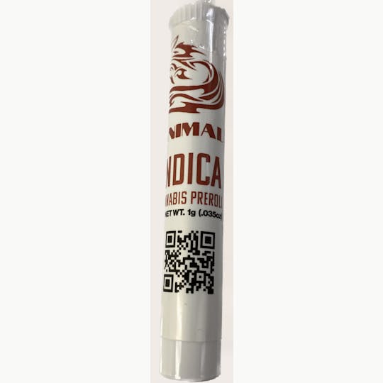 Animal - Animal-Indica- 1G Preroll - 1