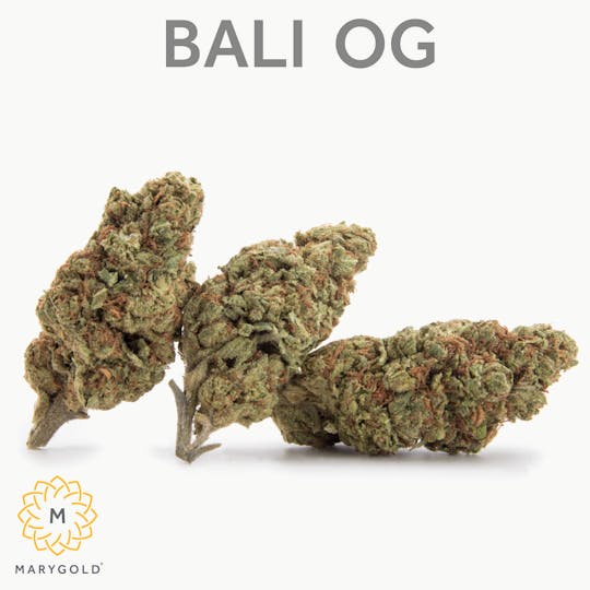 Marygold - Bali OG 14g (25% THC Indica) - 1