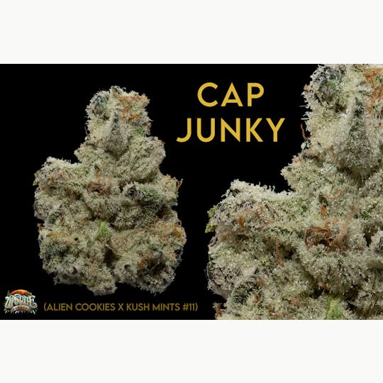 Upstate Gardens - Flower: Cap Junky - 1