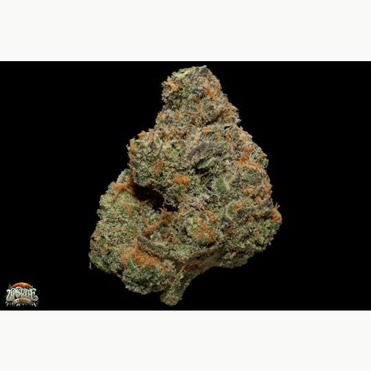 Upstate Gardens - Flower: Cheetah Piss - 1