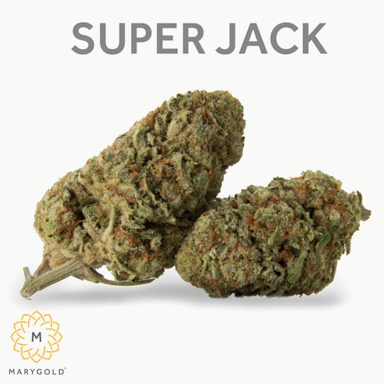 Marygold - Super Jack 14g (29% THC Sativa) - 1
