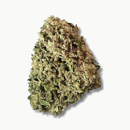 Smoakland - Exotix - White Runtz (H) - 14g - 1