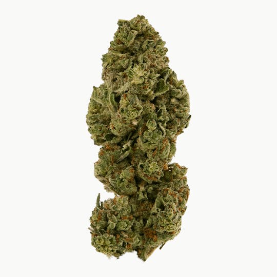 Smoakland - Black - Gelato 33 (H) - 14g - 1