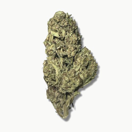 Smoakland - Black - The Boost (H) - 14g - 1