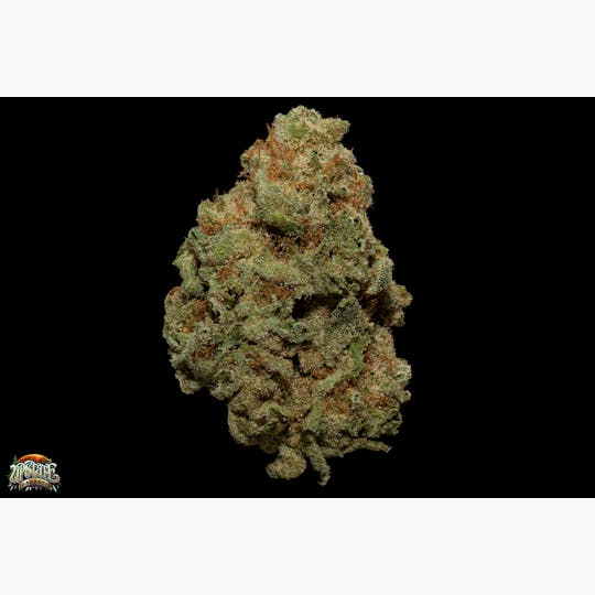 Upstate Gardens - Flower: Strawberry Banana - 1