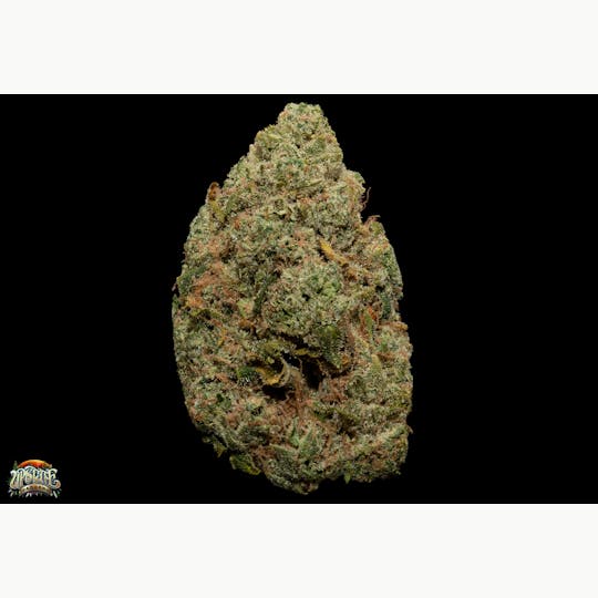 Upstate Gardens - Flower: Triangle Canyon - 1