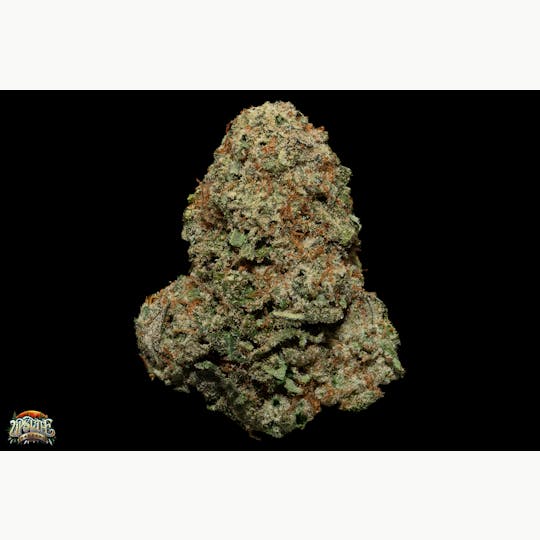 Upstate Gardens - Flower: White Caviar - 1
