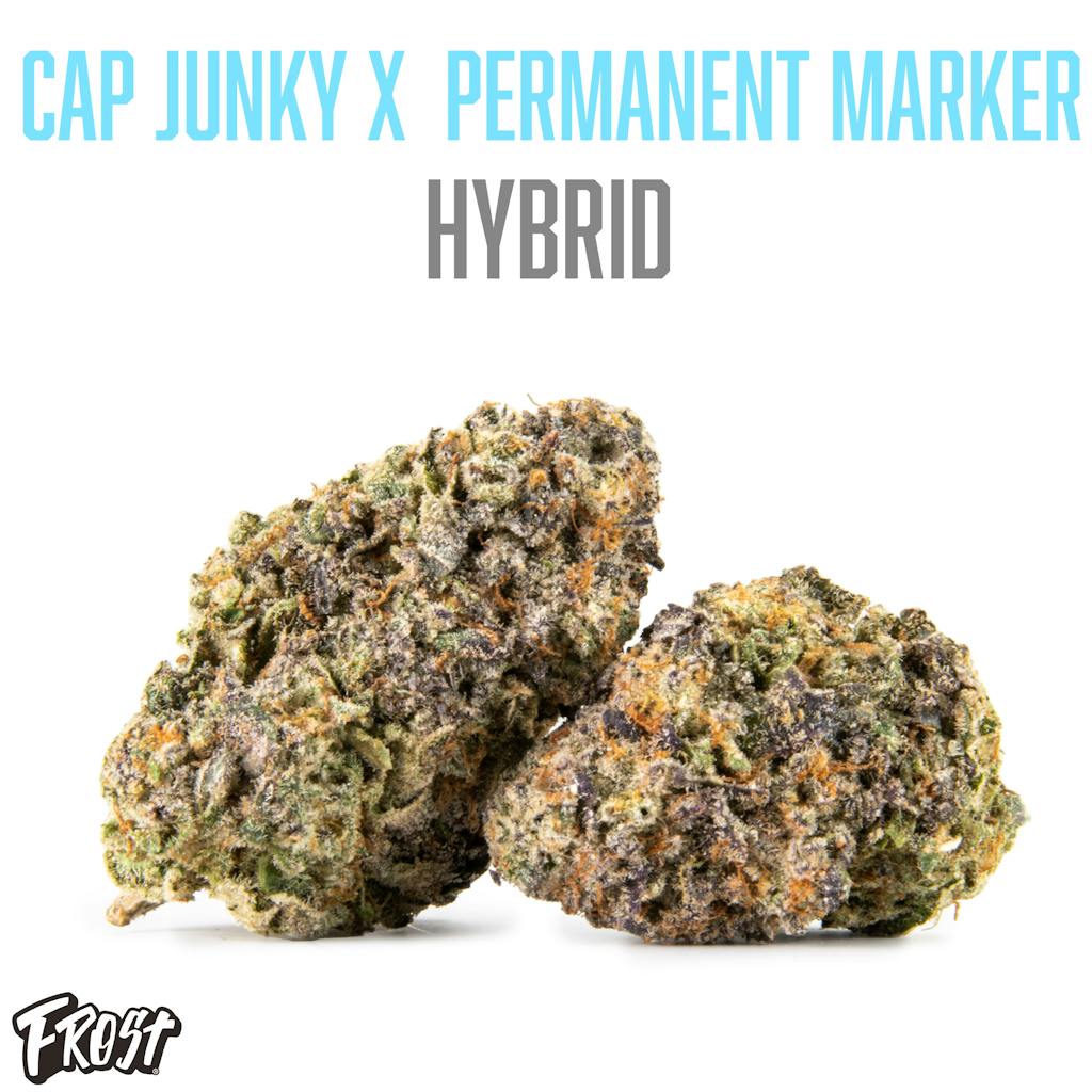 Cap Junky X Permanent Marker 32 THC Hybrid Frost cap-junky-x-permanent-marker-32-thc-hybrid-frost